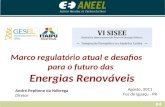 Marco regulatório atual e desafios para o futuro das Energias Renováveis Agosto, 2011 Foz do Iguaçu - PR André Pepitone da Nóbrega Diretor.