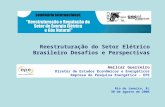 Reestruturação do Setor Elétrico Brasileiro Desafios e Perspectivas Rio de Janeiro, RJ 30 de agosto de 2006 Amilcar Guerreiro Diretor de Estudos Econômicos.