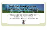 Sistema Auxiliar para Confinamento de Gado de Corte TRABALHO DE CONCLUSÃO II Nelton De Prá Cereta Orientador: Marcelo Pedroso da Roza.