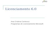 Licenciamento 6.0 Ana Cristina Contrucci Programas de Licenciamento Microsoft.