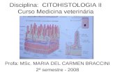 Disciplina: CITOHISTOLOGIA II Curso Medicina veterinária Profa: MSc. MARIA DEL CARMEN BRACCINI 2º semestre - 2008.