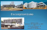 Escorpionismo Palmira Cupo Hospital das Clínicas da FMRP-USP Centro de Controle de Intoxicações Unidade de Emergência.