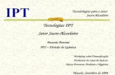 1 Tecnolologias para o Setor Sucro-Alcooleiro Tecnologias IPT Setor Sucro-Alcooleiro Antonio Bonomi IPT – Divisão de Química Workshop sobre Diversificação.