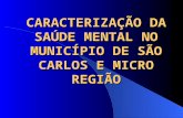 CARACTERIZAÇÃO DA SAÚDE MENTAL NO MUNICÍPIO DE SÃO CARLOS E MICRO REGIÃO.