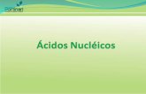 Unidade básica do ác. nucleico Constituintes: Nucleotídeos: formados por três diferentes tipos de moléculas: um açúcar (pentose): desoxirribose no DNA.