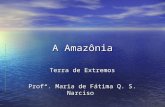 A Amazônia Terra de Extremos Profª. Maria de Fátima Q. S. Narciso.