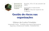 Gestão de riscos nas organizações Gilmar da Cunha Trivelato Pesquisador Titular - Fundação Jorge Duprat Figueiredo de Segurança e Medicina do Trabalho.