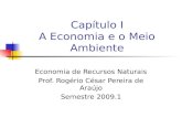 Capítulo I A Economia e o Meio Ambiente Economia de Recursos Naturais Prof. Rogério César Pereira de Araújo Semestre 2009.1.
