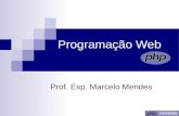 Programação Web Prof. Esp. Marcelo Mendes. Programação Período: 15/03/2013 a 26/04/2013 CH: 120 horas Avaliações: 4 Conteúdo: .