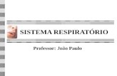 SISTEMA RESPIRATÓRIO Professor: João Paulo. SISTEMA RESPIRATÓRIO É constituído por um par de pulmões e por vários órgãos que conduzem o ar para dentro.