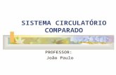 SISTEMA CIRCULATÓRIO COMPARADO PROFESSOR: João Paulo.