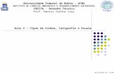 Aula 3 : Tipos de linhas, Caligrafia e Escala Universidade Federal da Bahia – UFBA INSTITUTO DE CIÊNCIAS AMBIENTAIS E DESENVOLVIMENTO SUSTENTÁVEL IAD176.