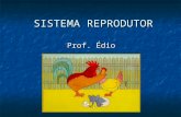 SISTEMA REPRODUTOR Prof. Édio. REPRODUÇÃO REPRODUÇÃO Processo biológico que permite aos seres vivos a perpetuação da espécie, através do número de indivíduos.