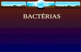 BACTÉRIAS. CARACTERIZAÇÃO GERAL O Reino Monera é formado por organismos procariontes, como as bactérias e cianobactérias (cianoficeas ou algas azuis )