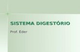 SISTEMA DIGESTÓRIO Prof. Éder. Sistema Digestório Através da digestão, tudo o que comemos transforma-se substâncias vitais para a manutenção de nosso.