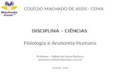 COLÉGIO MACHADO DE ASSIS - CEMA DISCIPLINA – CIÊNCIAS Fisiologia e Anatomia Humana Professor – Rafael de Souza Pacheco professorrafael21@yahoo.com.br Joinville.