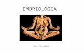 EMBRIOLOGIA PROF EDU RABELO. Embriologia: estudo do desenvolvimento do embrião até a formação do indivíduo adulto.