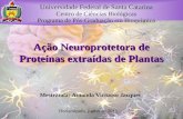 Ação Neuroprotetora de Proteínas extraídas de Plantas Mestranda: Amanda Virtuoso Jacques Universidade Federal de Santa Catarina Centro de Ciências Biológicas.