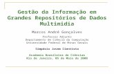 Gestão da Informação em Grandes Repositórios de Dados Multimidia Marcos André Gonçalves Professor Adjunto Departamento de Ciência da Computação Universidade.