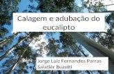 Calagem e adubação do eucalipto Jorge Luiz Fernandes Parras Salatiér Buzetti.