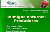 Inimigos naturais: Predadores Diego Bastos Silva Luís C. Paterno Silveira Luís C. Paterno Silveira Juracy Caldeira Lins Jr GET 106 – Controle Biológico.