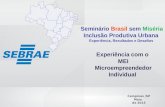 SEBRAE 0800 570 0800 /  Seminário Brasil sem Miséria Inclusão Produtiva Urbana Experiência, Resultados e Desafios Experiência com o MEI.