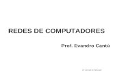 2b: Camada de Aplicação Prof. Evandro Cantú REDES DE COMPUTADORES.