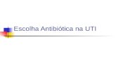 Escolha Antibiótica na UTI. Fatores relevantes na escolha Características do hospedeiro Fonte e sítio da infecção Espectro de cobertura do atb e efeitos.