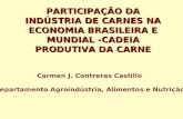 PARTICIPAÇÃO DA INDÚSTRIA DE CARNES NA ECONOMIA BRASILEIRA E MUNDIAL - CADEIA PRODUTIVA DA CARNE Carmen J. Contreras Castillo Departamento Agroindústria,