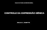 CONTROLE DA EXPRESSÃO GÊNICA DALILA L. ZANETTE Curso de Verão em Bioinformática.