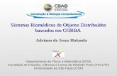 Sistemas Biomédicos de Objetos Distribuídos baseados em CORBA Departamento de Física e Matemática (DFM) Faculdade de Filosofia, Ciências e Letras de Ribeirão.
