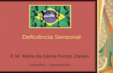 Deficiência Sensorial E.M. Maria da Gloria Ferraz Zaiden Cristina/MG – Setembro/2011.
