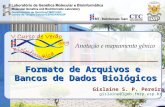 Formato de Arquivos e Bancos de Dados Biológicos Gislaine S. P. Pereira gislaine@lgmb.fmrp.usp.br.