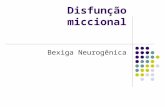 Disfunção miccional Bexiga Neurogênica. Controle neurológico do trato urinário inferior (TUI) Complexo Integra vários sistemas em diferentes níveis. Armazenamento.