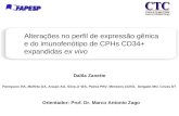 Dalila Zanette Alterações no perfil de expressão gênica e do imunofenótipo de CPHs CD34+ expandidas ex vivo Panepucci RA, Molfeta GA, Araujo AG, Silva-Jr.