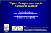 Tópico: Estágios no curso de Agronomia da UENF Coordenador do Curso Prof. Silvaldo Felipe da Silveira (LEF) Coordenador do Estágio da Agronomia Prof. Ricardo.