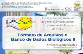 Formato de Arquivos e Banco de Dados Biológicos II Alynne Oya Chiromatzo alynne@lgmb.fmrp.usp.br.