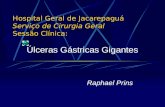 Hospital Geral de Jacarepaguá Serviço de Cirurgia Geral Sessão Clínica: Úlceras Gástricas Gigantes Raphael Prins.