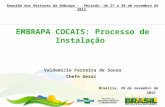 Valdemício Ferreira de Sousa Chefe Geral Brasília, 28 de novembro de 2012 EMBRAPA COCAIS: Processo de Instalação Reunião dos Gestores da Embrapa - Período: