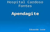 Hospital Cardoso Fontes Apendagite Eduardo Leze. Caso Clínico Identificação: J.C.P, sexo masculino, 49 anos (20/02/1957), marceneiro, natural do RJ, atualmente.
