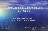Perfuração Diastática do Ceco Hospital Cardoso Fontes Serviço de Cirurgia Geral Raphael Iglesias de Oliveira Vidal, M.D. 21-07-2005.