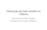Obstrução do trato urinário na infância Marcelo Marcondes Stegani Disciplina de Cirurgia Pediátrica.
