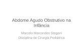 Abdome Agudo Obstrutivo na Infância Marcelo Marcondes Stegani Disciplina de Cirurgia Pediátrica.