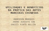 UTILIDADES E BENEFÍCIOS DA PRÁTICA DAS ARTES MARCIAIS CHINESAS ANDERSON MARQUES ANDRÉ AUGUSTO SAK GREICY PINTO BELLIN.
