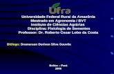 Universidade Federal Rural da Amazônia Mestrado em Agronomia / BVT Instituto de Ciências Agrárias Disciplina: Fisiologia de Sementes Professor: Dr. Roberto.