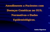 Atendimento a Pacientes com Doenças Genéticas no SUS. Normativas e Dados Epidemiológicos. Amira Figueiras.