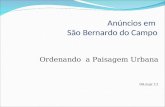 Anúncios em São Bernardo do Campo Ordenando a Paisagem Urbana 04.mar.11.