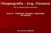 Fitogeografia – Eng. Florestal Aula 8 – Caatinga, Pampas, Vegetação do Paraná Dois Vizinhos, 25/06/2010 Prof. Dr. Mauricio Romero Gorenstein.