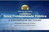 Nova Contabilidade Pública A EXPERIÊNCIA DO TCE/MT Risodalva Beata de Castro Secretária Geral de Controle Externo.