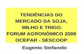 TENDÊNCIAS DO MERCADO DA SOJA, MILHO E TRIGO. FORUM AGRONÔMICO 2009 OCEPAR - SESCOOP Eugenio Stefanelo.